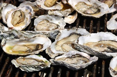 Shellfish - Sodoma Law