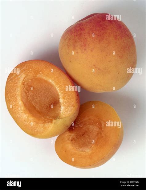 cut     stock photo alamy