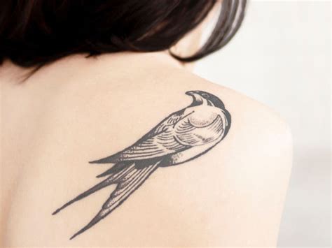 New Tattoo Care Oil & Butter - International Cosmetics Science Centre