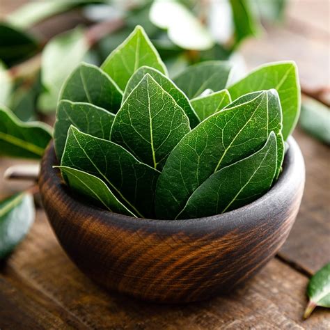 What Are Bay Leaves (+ How to Use Them) - Insanely Good