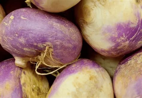 Can You Drink on Mounjaro? Mounjaro and Alcohol Relationship | Signos