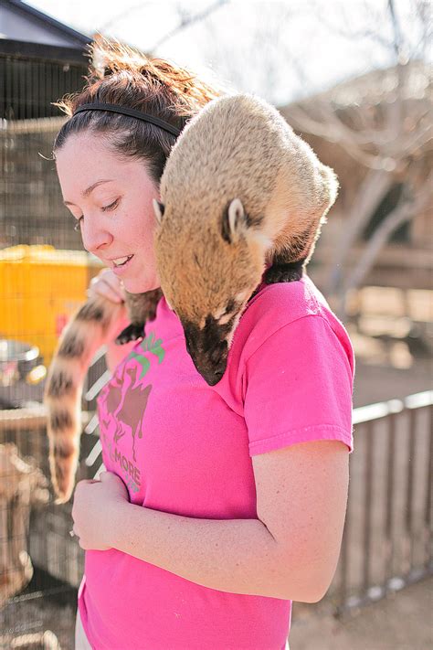 Roos n More Zoo in Las Vegas >> An Exotic Petting Zoo