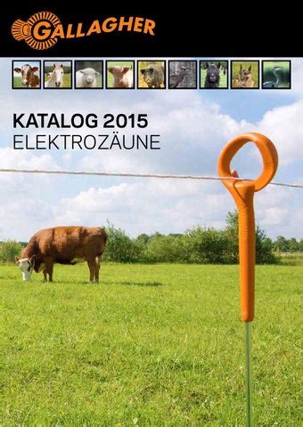 Gallagher 2015 by ZT Medien AG - Issuu