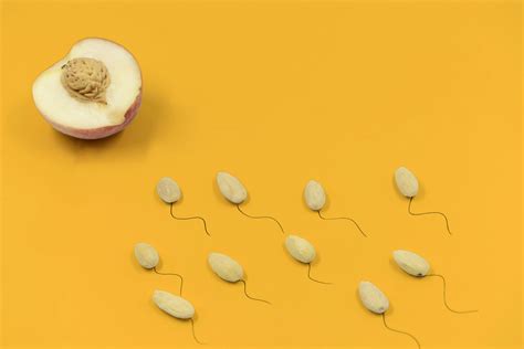 1,000+ Best Sexual Intercourse Photos · 100% Free Download · Pexels