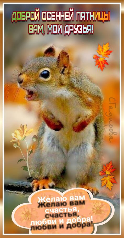 Доброй осенней Пятницы Вам! 🌞 🍁🤗🍂 | Милые открытки, Доброе утро ...
