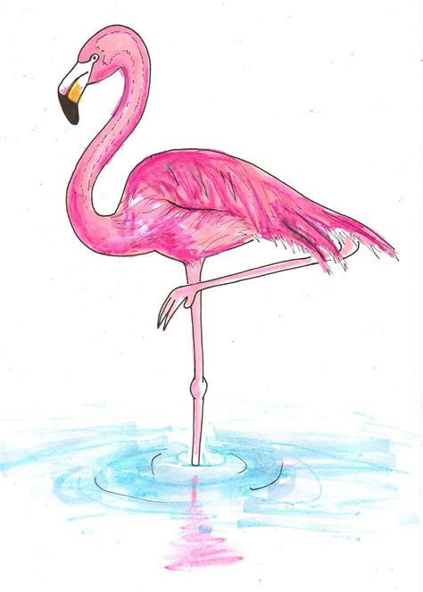 Pin op flamingos