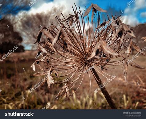 21 Resources Fading Away Images, Stock Photos & Vectors | Shutterstock