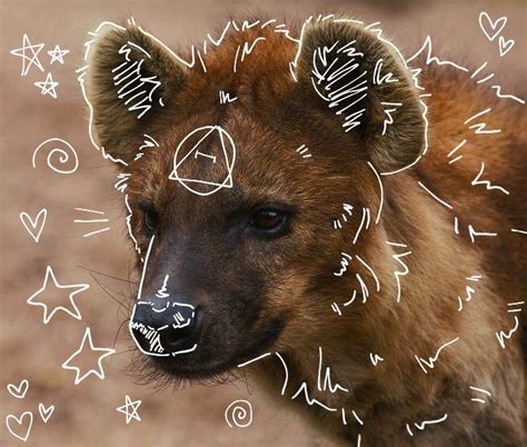 Spotted Hyena Therian ☆