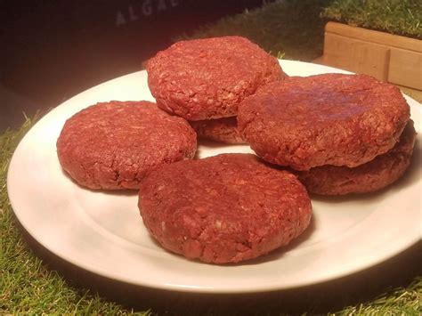 Algae Meat Substitute | Plant-Based Meat Alternative
