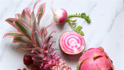 Meet Alphafoodie’s Samira Kazan - Vogue