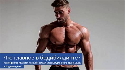 Что самое главное в бодибилдинге? | Основной фактор мышечного роста ...