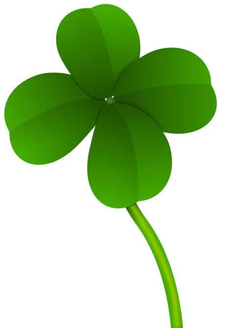 Green clover PNG image