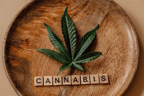 Everything You Need to Know About Adult-Use Cannabis Legalization in