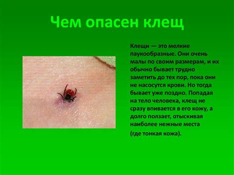 Фото: как выглядят укусы клещей у человека на теле
