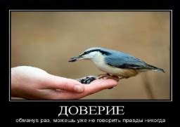 Цитаты о доверии