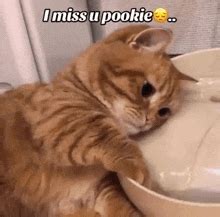 Pookie GIFs | Tenor
