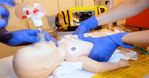 how to become a pals instructor