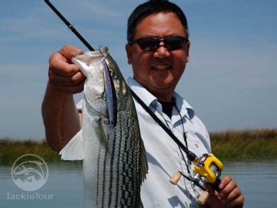 O.S.P. Rudra 130-SP 130 Osprey Spiritual Performer Jerkbait