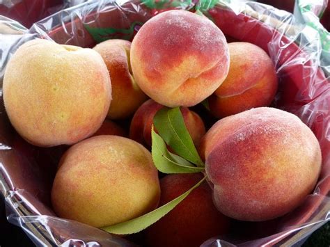 Glow Haven Peaches
