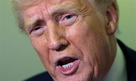 Donald Trump: Breaking news, photos, video of the President of the ...