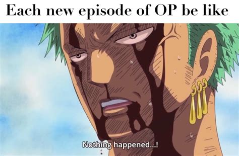 Reality is often disappointing : r/MemePiece