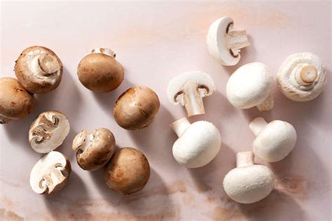 What Are Button Mushrooms?