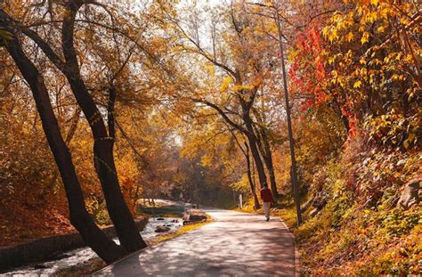Premium Photo | Terrenkur walking trail in autumn almaty city kazakhstan