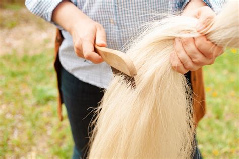 Horse Grooming 101: A Complete Beginner's Guide – Equine America NZ