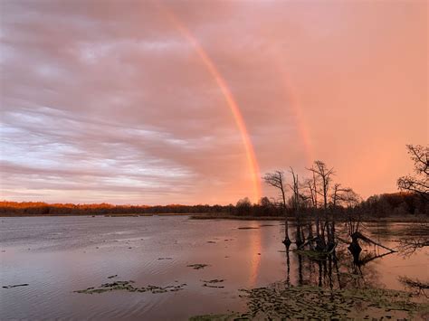 Things to do at Reelfoot Lake in Obion County, TN