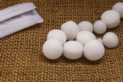 Can Mothballs Repel Mice? - packilicious.com