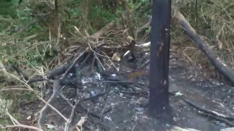 Walk through of Ryan Dunn's accident scene - YouTube