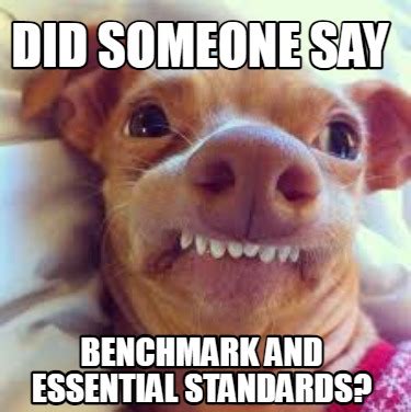 Meme Creator - Funny Did someone say Benchmark and Essential Standards ...