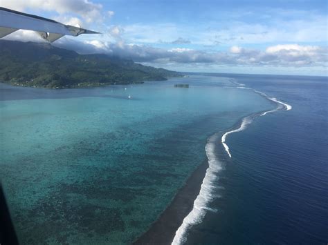 TW Pornstars - Ladylynnxxx. Twitter. Back from Tahiti! Had the most