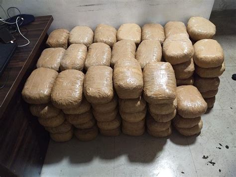 kg  ganja worth rs  cr seized  andhra   haryana held