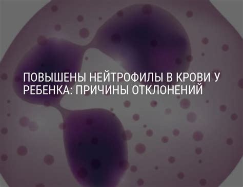 Повышены нейтрофилы в крови у ребенка: что это значит, причины нейтрофилии