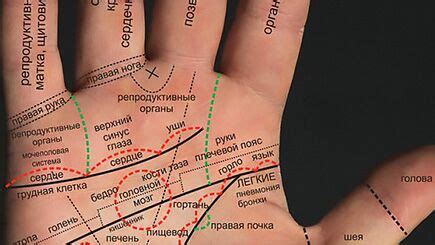 Хиромантия. Гадание по руке для начинающих