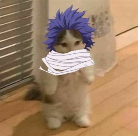 cat shinso hitoshi | Anime erkekleri, Anime, Fotoğraf