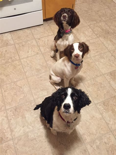 The Hull Truth - Boating and Fishing Forum - View Single Post - Your