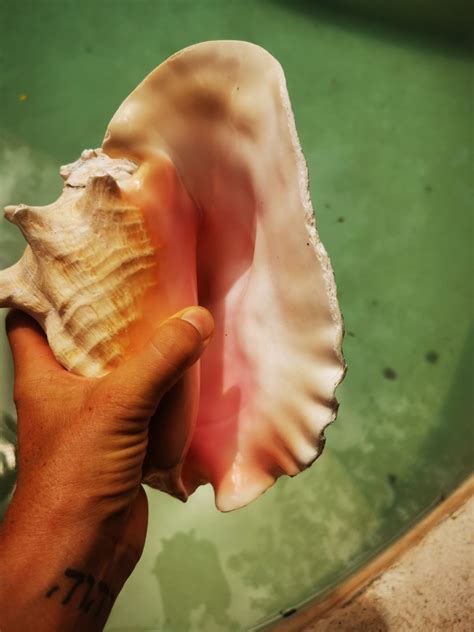 Kaua´i (Yoni Massage) – ManuMana | time to be