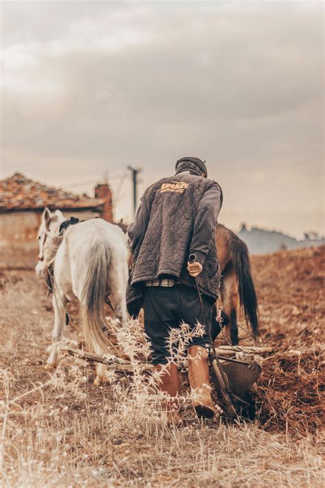 Photo of a Man Working at a Farm · Free Stock Photo