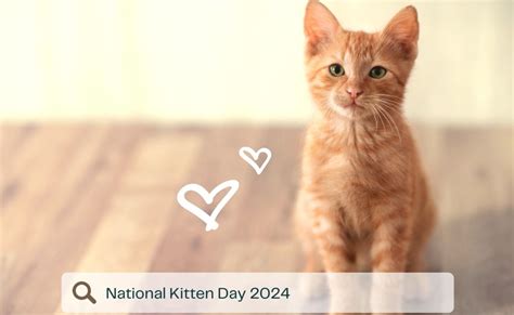 🐾Petfood Forum Events on LinkedIn: National Kitten Day 2024