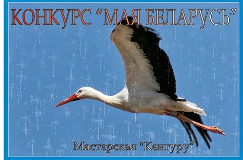 Конкурс "Моя Беларусь" • Family.by