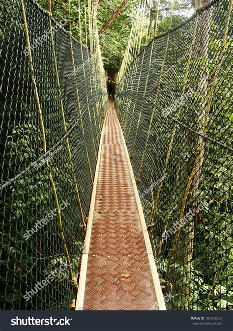 Canopy Walkway Taman Negara National Park Stock Photo 187208363 ...