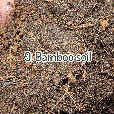 10 Planting Materials You Should Know Before Planting