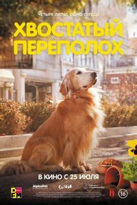 Еретик (2024) – смотреть онлайн фильм в хорошем качестве