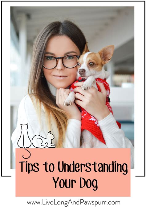 House Train Your Puppy: Dos & Donts, Tips & Challenges
