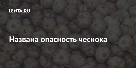 Названа опасность чеснока: Наука: Наука и техника: Lenta.ru