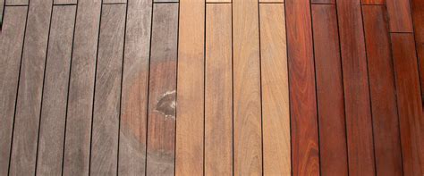 Stain vs. Seal: Which is Best for Your Deck? - Hunter Games Magazine