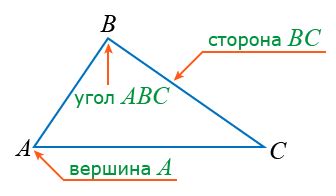 Треугольник: вершины, стороны, углы. Высота, биссектриса и медиана ...