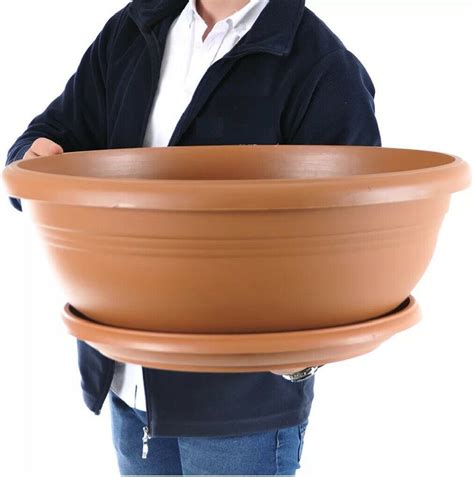 wide shallow flower pots  saucer plastic succulent planter diam